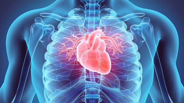 بیماری قلبی به خار عوامل روحی، اجتماعی و شخصیتی